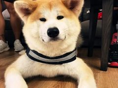 -YCHL Studios健身工作室(市二宫店)