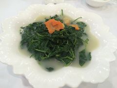 上汤枸杞叶-东江海鲜酒家(艺都分店)