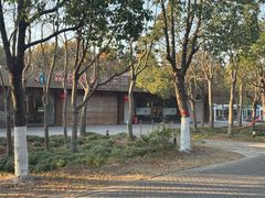 -上海海湾国家森林公园