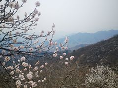 -慕田峪长城
