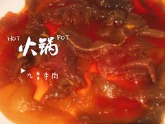 -蜀九香火锅(营口店)