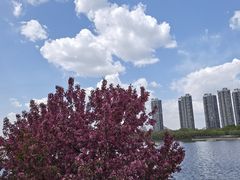 -长白岛森林公园