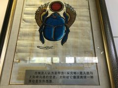 -上海昆虫博物馆