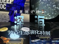 -凤凰中心
