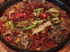 -老板恋上鱼(恒隆广场店)