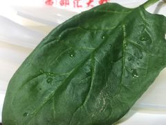 -邵汇大虾(大东门店)