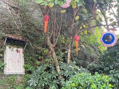 -杭州宋城