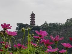 -南沙蒲洲花园