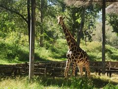 -北京野生动物园