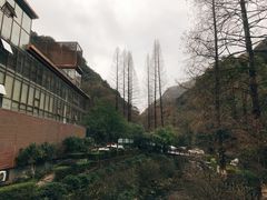 -宁海森林温泉