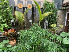 -润泽园椰子鸡(汇一城店)