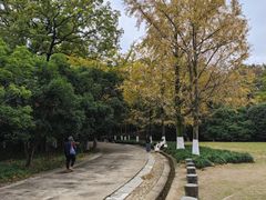 -灵谷景区