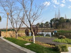 -长田漾湿地公园