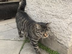 -大学习巷清真寺