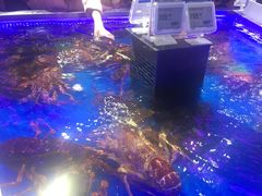 -盒马鲜生(莱蒙都会店)