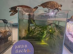 -中国湿地博物馆