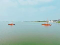 -鹅湖玫瑰文化园