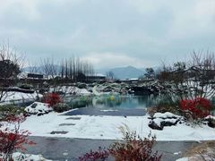 -雅达·阳羡溪山小镇中心