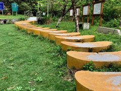 -遂昌金矿国家矿山公园