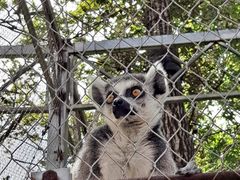 -哈尔滨北方森林动物园