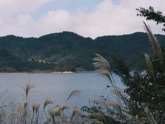 -浙西天池景区