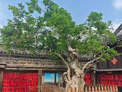 -中山詹园