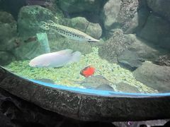 -苏州海洋馆