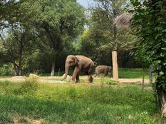 -北京野生动物园