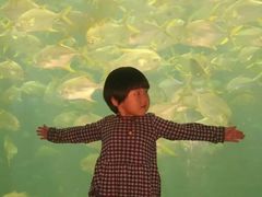 -秦皇岛乐岛海洋王国