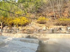 -北京西山国家森林公园