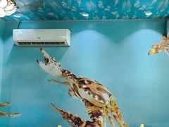 -小海豚•老字号海鲜餐厅(天涯店)