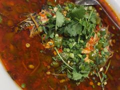 -院8里·少城记忆老川菜(宽窄巷子店)