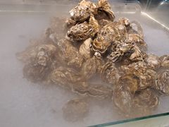 -蚝英雄鲜蚝自助专门店(长楹天街直营店)