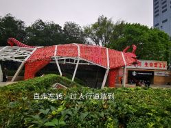 -DEM缔怡美科技美容