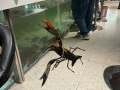-虾胡闹龙虾馆(湄南河店)