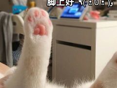 开心-金苑海鲜酒家(来魅力店)