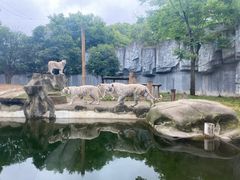 -常州淹城野生动物世界