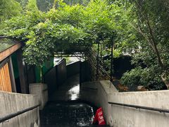 -素描餐厅(灵隐天竺店)