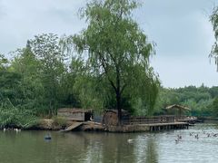 -溱湖国家湿地公园