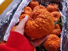 -菜园坝水果市场