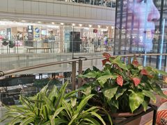 -远大购物中心(南岗店)