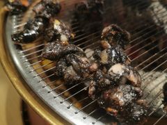 -西塔老太太泥炉烤肉(北京双井店)