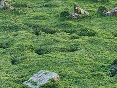 -集美鳌园景区