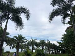 -元素中餐厅.海南菜.粤菜.椰子鸡.海鲜.包房.石梅湾威斯汀度假酒店