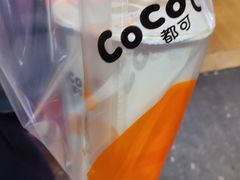 -CoCo都可(北苑K酷店)