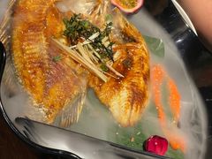 -雀舞云南菜(乐客城店)