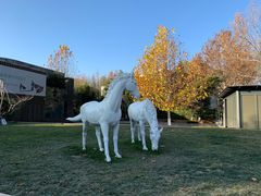 -春晖园度假酒店温泉