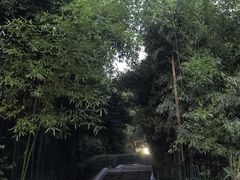 -西安市长乐公园