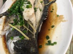 清蒸石斑鱼-源海渔村·现捞海鲜(大角湾店)