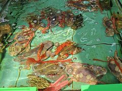 -景好海鲜餐厅(大鹏必选旅游店)